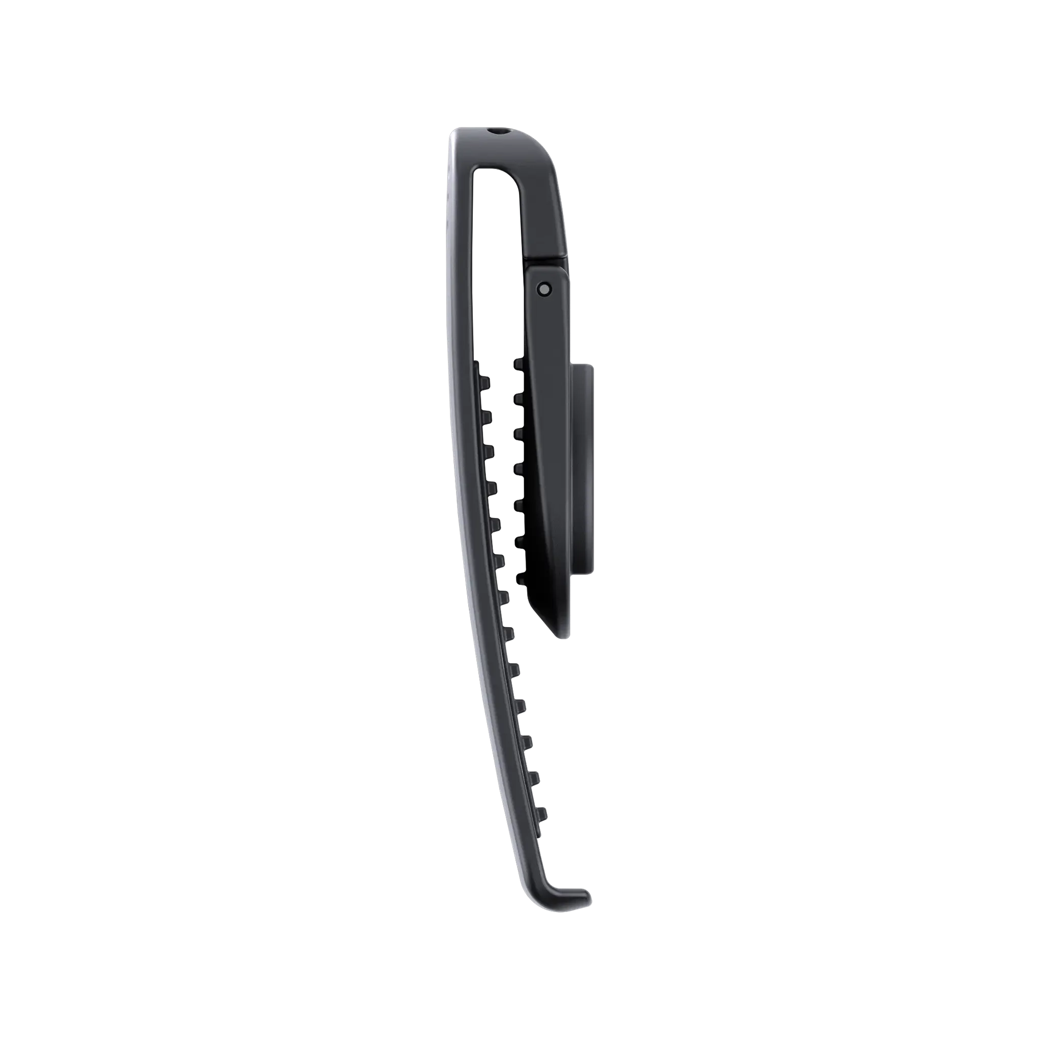 Clip Mount