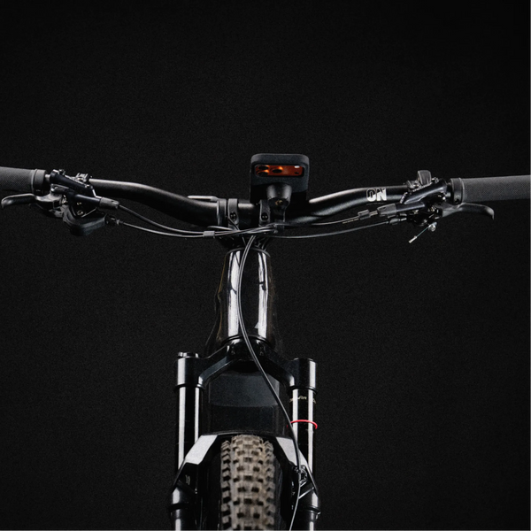 Bike Mount